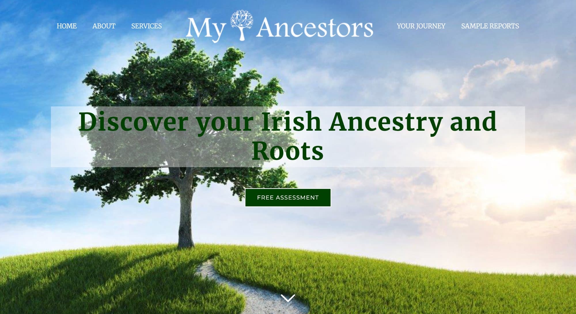 My Ancestors website